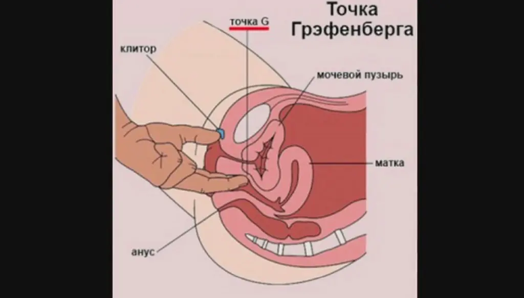 seks-otkritia-proshloe