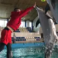 Дима из Сочи, мне 26, познакомлюсь для на одну ночь