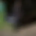 Я Илья, 30, из Москвы, ищу знакомство для без обязательств