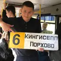 Тимур из Кингисеппа, мне 21, познакомлюсь для на одну ночь