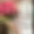 Я Дашка, 20, знакомлюсь для вирта в Одессе