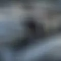 Oleg из Днепра, мне 27, познакомлюсь для вирта