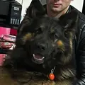 Я Ivan, 24, из Могилёва, ищу знакомство для общения