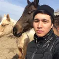 Ырысхан из Талдыкорган, ищу на сайте регулярный секс
