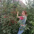 Я Виолетта, 19, из Омска, ищу знакомство для постоянных отношений