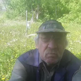 Я Николай, 67, знакомлюсь для виртуального секса в Сургуте