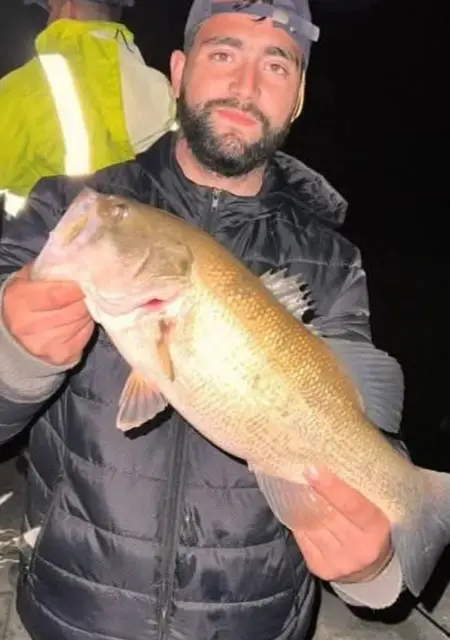 Soy Lokofestival, 26 años, conociéndome para chatear en Utiel