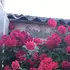 Я Джони, 53 років, знайомлюсь без зобов'язань у Одесі