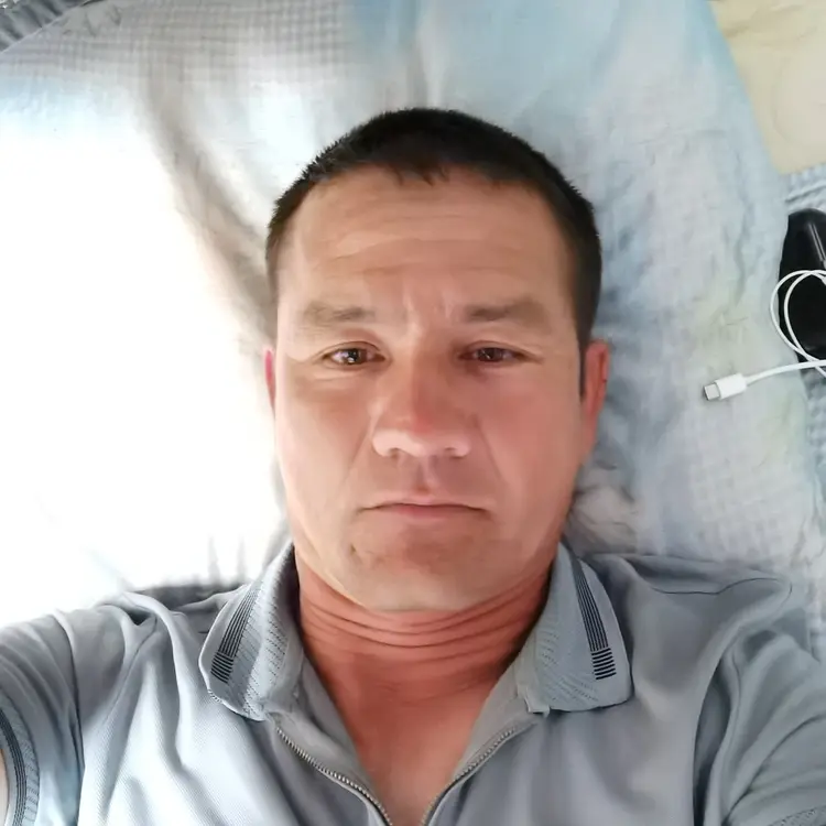 Я Миша, 42, знакомлюсь для регулярного секса в Архангельске