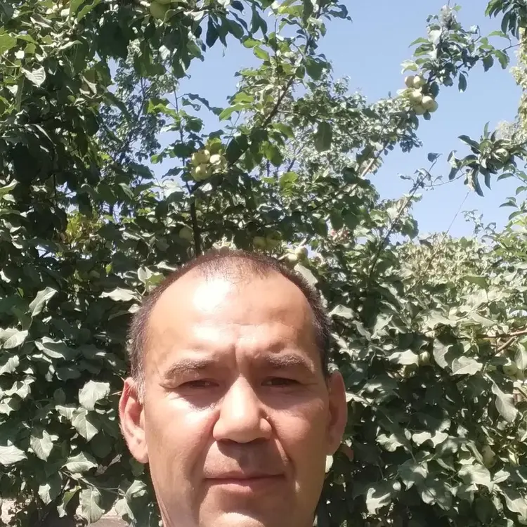 Я Мадияр, 47, знакомлюсь для регулярного секса в Туркестане